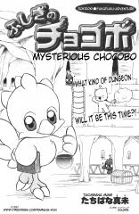 Le mystérieux Chocobo